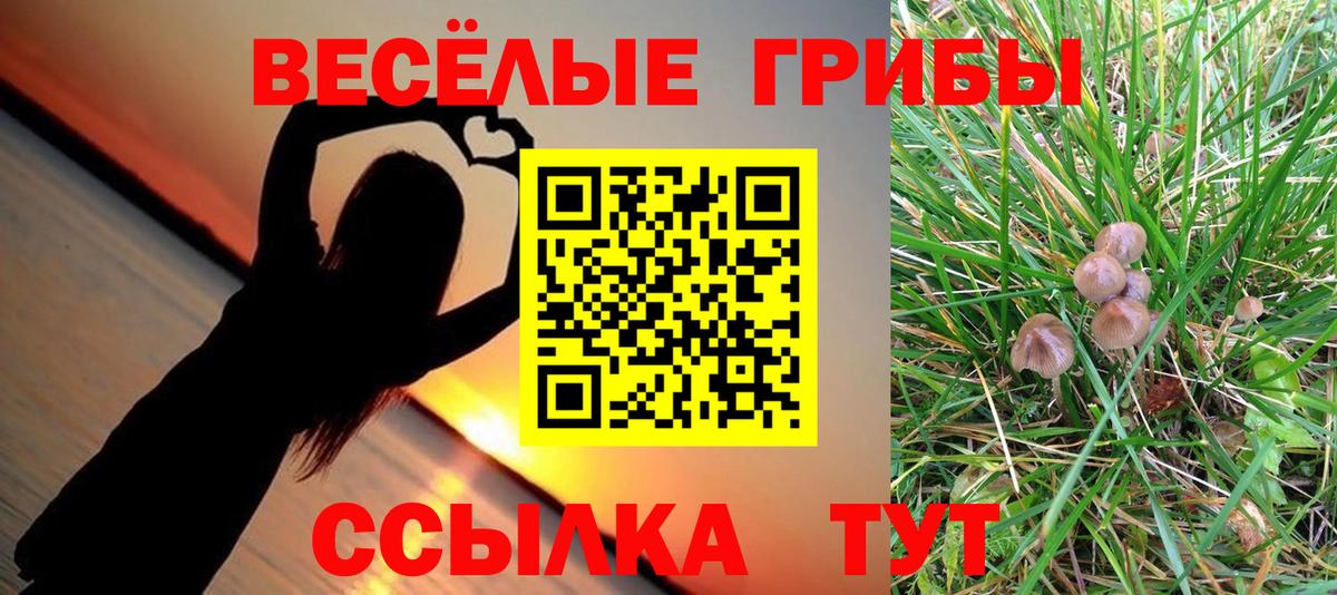 Галлюциногенные грибы ЛСД Заволжье