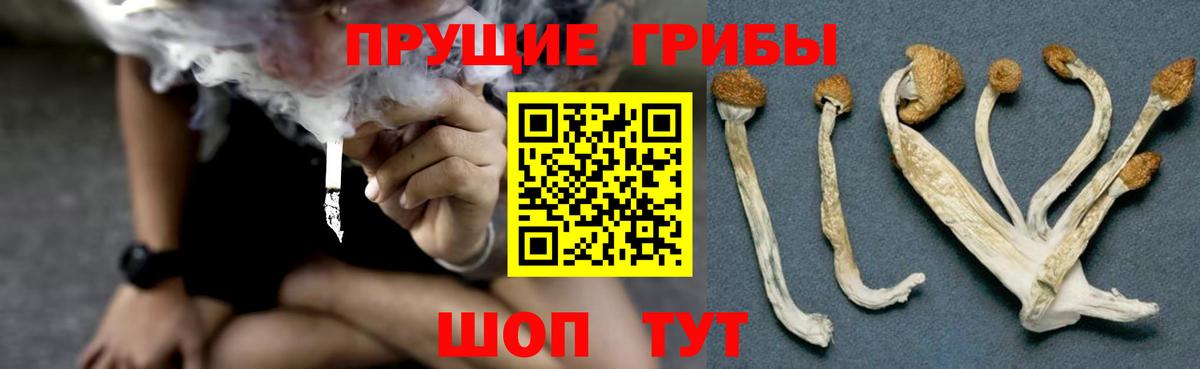 Галлюциногенные грибы прущие грибы  Псилоцибиновые грибы Psilocybine cubensis  Вход с VPN  Заволжье 
